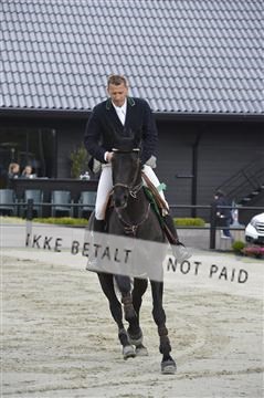 139644_abo_12__AB16454.JPG