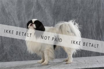 128239_le_kort_ 01_0314.JPG