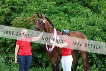 181756_mtp_01_R62_1787.JPG