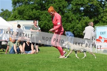181564_rin_02_R62_4024.JPG