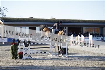 181332_kbb_01_6II3150.JPG