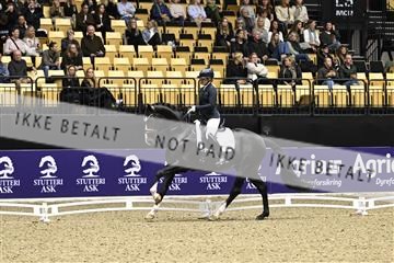 182194_kbb_03_Z090632.JPG