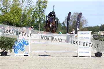 181436_avh_02_4175.JPG