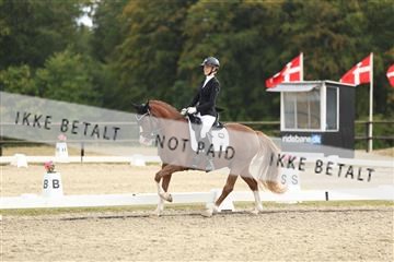 181894_mtp_03_R62_2627.JPG