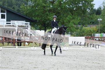 181923_mtp_01_R62_6520.JPG