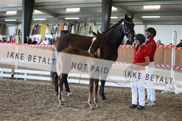 181756_mtp_03_R62_2759.JPG