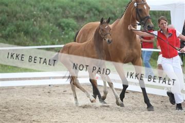 125406_sc_01_IMG_0672.jpg