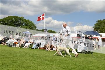 181564_kar_01__62_6859.JPG