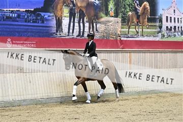 182241_kbb_01_Z093034.JPG