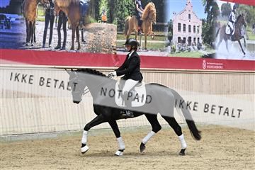 182241_kbb_01_Z094464.JPG