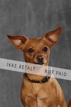 130054_le_ 03_0150.JPG