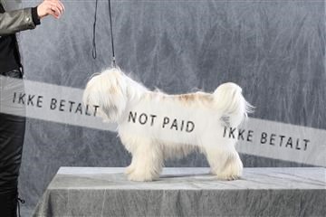 128239_le_kort_ 01_0068.JPG