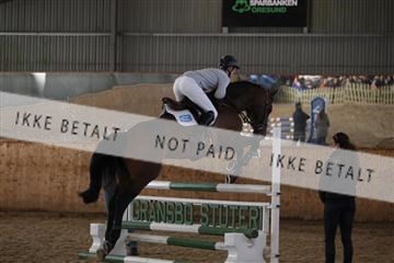 139206_kl_1_8M1Q5199.JPG