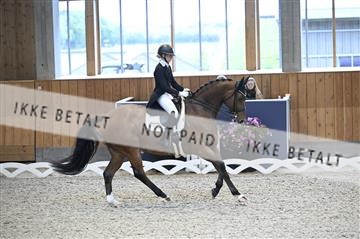 182176_kbb_01_Z094159.JPG