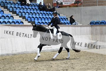 182241_kbb_01_Z093802.JPG