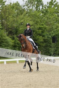 139835_sg_01_IMG_8276.JPG