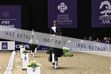 182194_kbb_03_Z091462.JPG