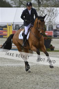 139644_abo_03__AB15299.JPG
