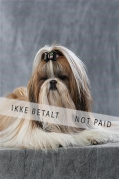 128239_le_kort_ 01_0384.JPG