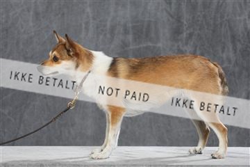 130054_le_ 03_0194.JPG