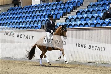 182241_kbb_01_Z092977.JPG