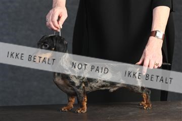 132082_le_ 01_IMG_0168.JPG