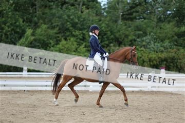 156196_nn_01_IMG_6388.JPG