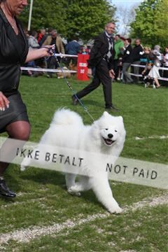 134871_ms_02_IMG_3510.JPG