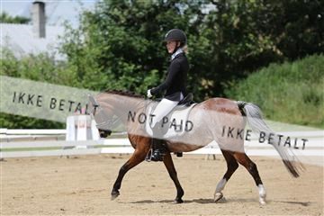 156196_nn_01_IMG_6050.JPG