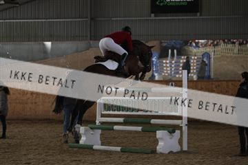 139206_kl_1_8M1Q5256.JPG