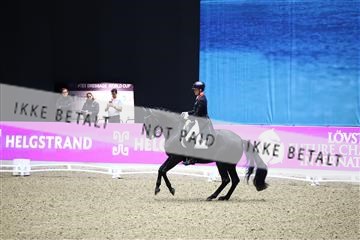 182194_avh_05_2620.JPG