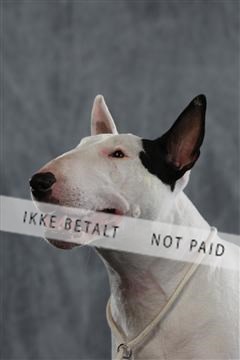 128239_le_kort_ 01_0250.JPG