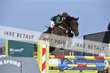 139644_abo_02__AB14698.JPG
