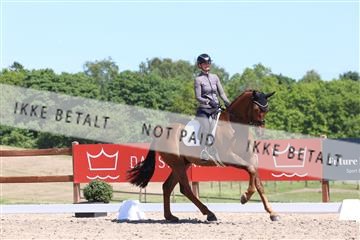181449_bc_01R62_5694.JPG