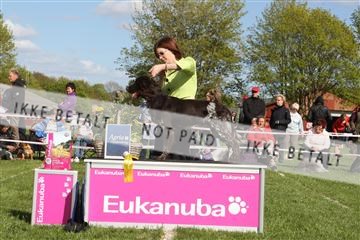 134871_ms_01_IMG_4004.JPG