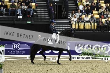 182194_kbb_03_Z091909.JPG