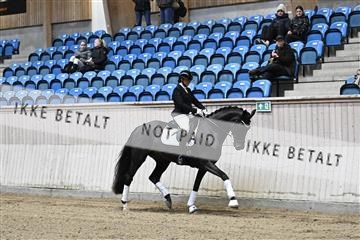 182241_kbb_01_Z093997.JPG