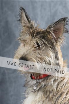 129608_le_ 01_0205.JPG