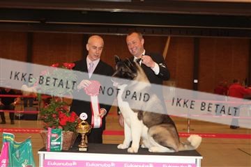 124188 _tl_02_IMG_9735.JPG