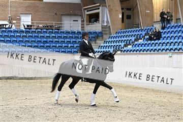 182241_kbb_01_Z093103.JPG