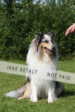 130370_se_03_IMG_7549.JPG