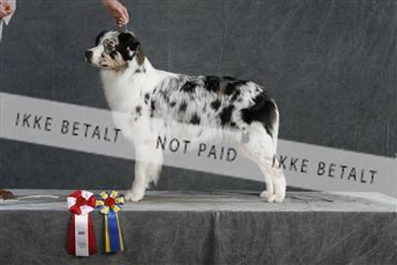 5493_sme _02__MG_9743.JPG