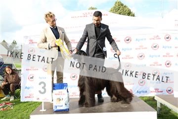 182009_rin_03_R62_5084.JPG