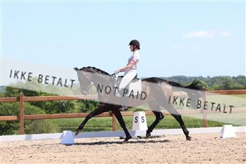 181449_bc_01R62_5727.JPG