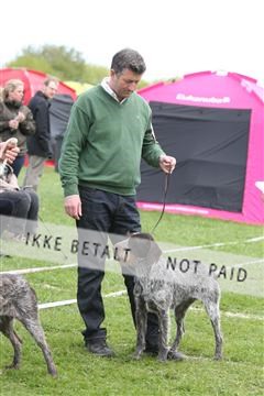 134871_ms_04_IMG_9991.JPG