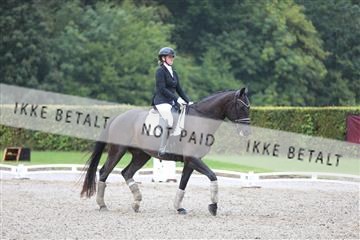 181957_mtp_01_3M5A7550.JPG