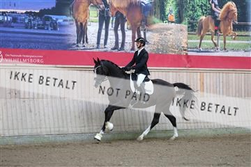 181887_mtp_02_R62_7269.JPG