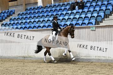 182241_kbb_01_Z093076.JPG