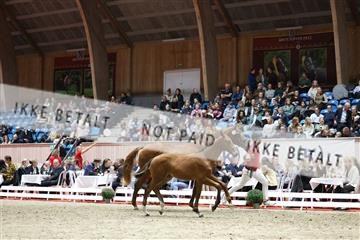 181957_mtp_08_R62_5729.JPG