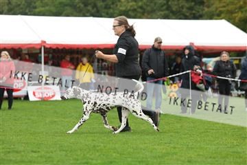 182009_rin_02_R62_2519.JPG
